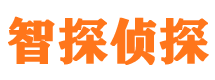 北川智探私家侦探公司